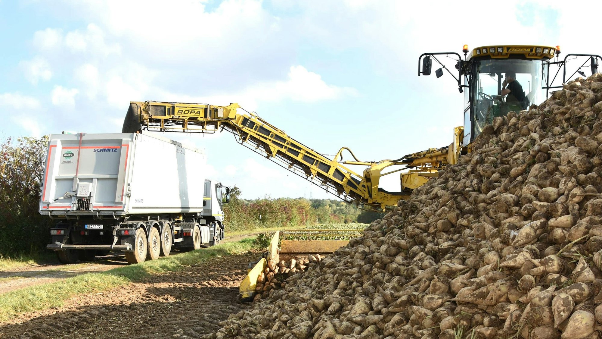 Die Rübenernte hat begonnen.