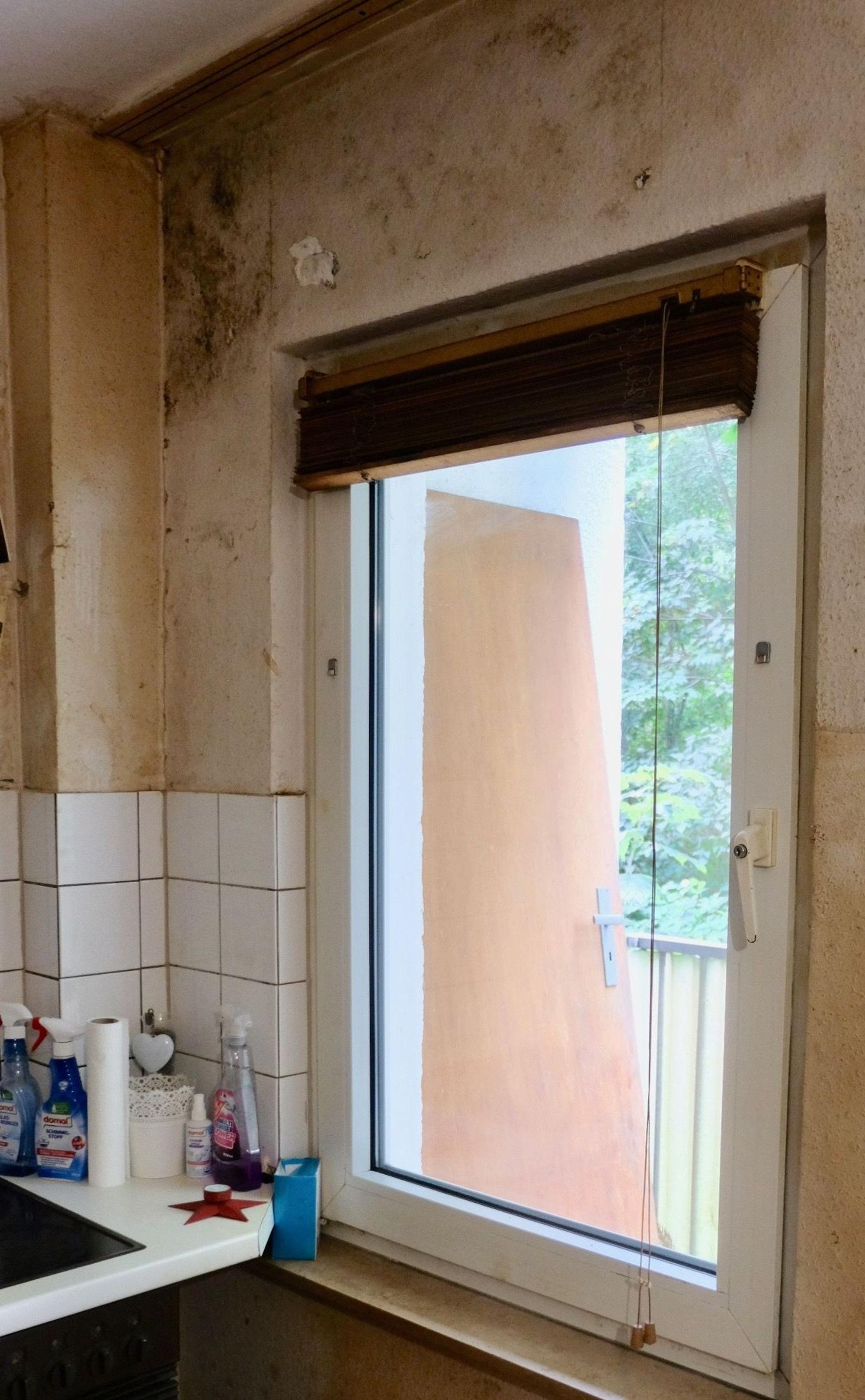 Auch die Küchenwand ist vom Schimmelpilz befallen.