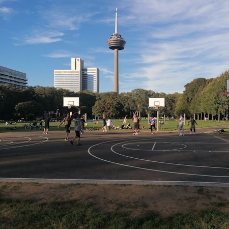 Blick auf einen Basketballlplatz im Grüngürtel. Im Hintergrund ist der Colonius zu sehen.