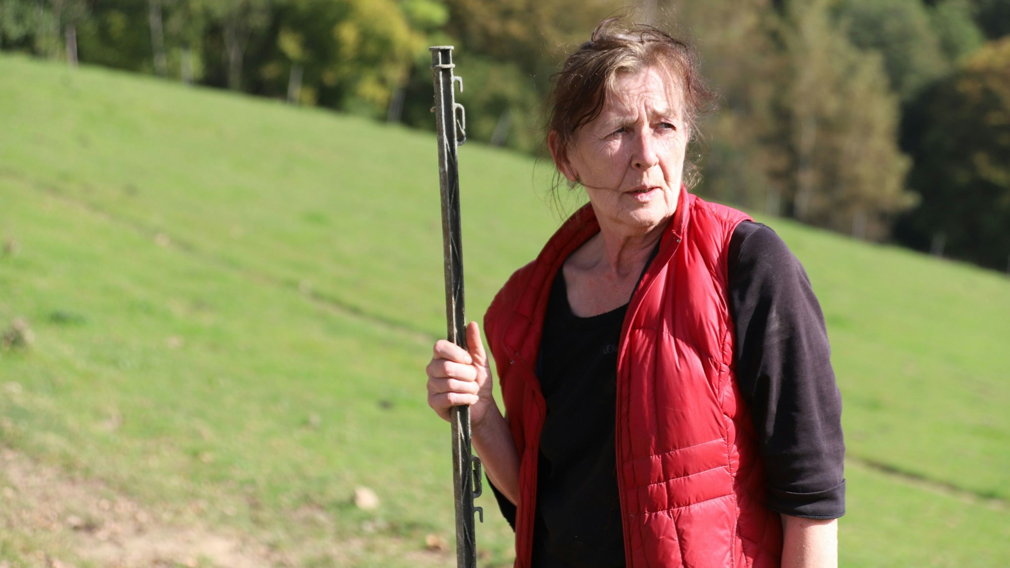 Jutta Rokitta hat sieben Herdenschutzhunde für ihre gemischte Herde. Nachbarn beschwerten sich über das Bellen, jetzt muss sie die Tiere abends in den Stall bringen.