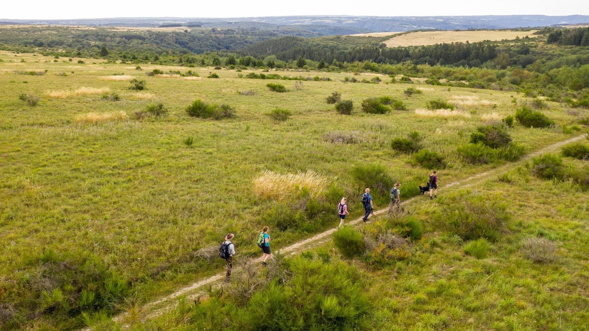 Luftaufnahme von Wanderern in einer weitläufigen Wiesenlandschaft