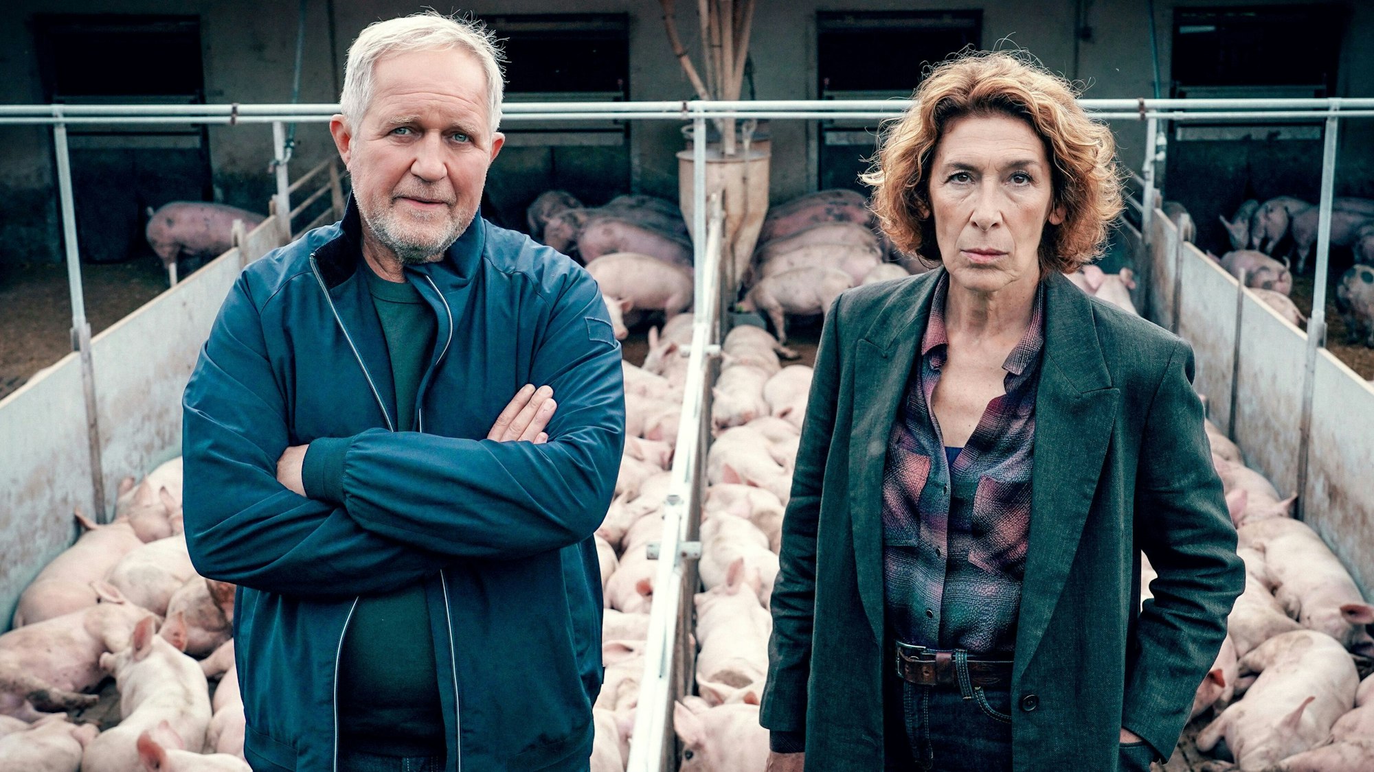 Zu sehen sind die Ermittler Moritz Eisner (Harald Krassnitzer) und Bibi Fellner (Adele Neuhauser), die beiden stehen vor einem Schweinestall. Im Hintergrund die Ferkel.