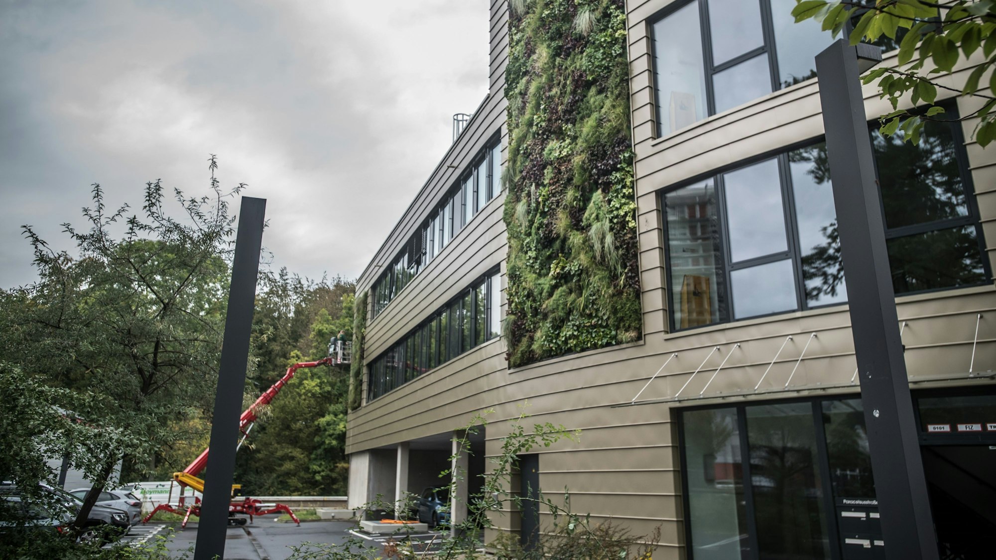 Im Klinikum gibt es am neuen /Büro des medizinischen Diensts bewachsene Fassaden, sie müssen zweimal im Jahr mit einem Hubsteiger gejätet und bearbeitet werden.