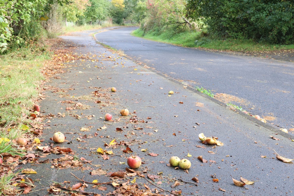 Bürgerantrag zum Thema Schulwegsicherheit Wie kommen die Kinder in