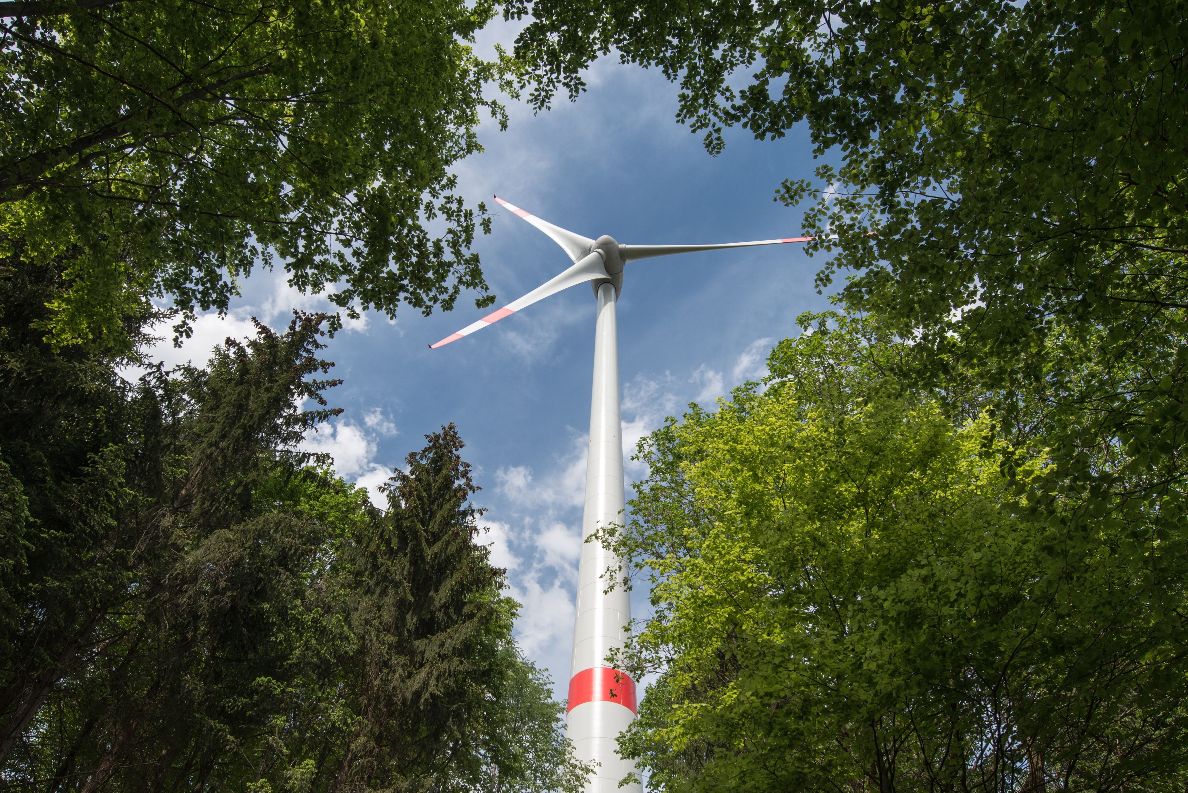 Ein Windrad steht am Donnerstag (10.05.2012) nahe Beratzhausen (Oberpfalz) in einem Wald der bayerischen Staatsforsten. Der Bau von Windrädern stößt im Bayerischen Wald auf zähen Widerstand der Bürokratie. Das Interesse von Unternehmen sei groß, aber mit dem Hinweis auf das Landschaftsbild lehnten die zuständigen Gremien immer wieder ab.