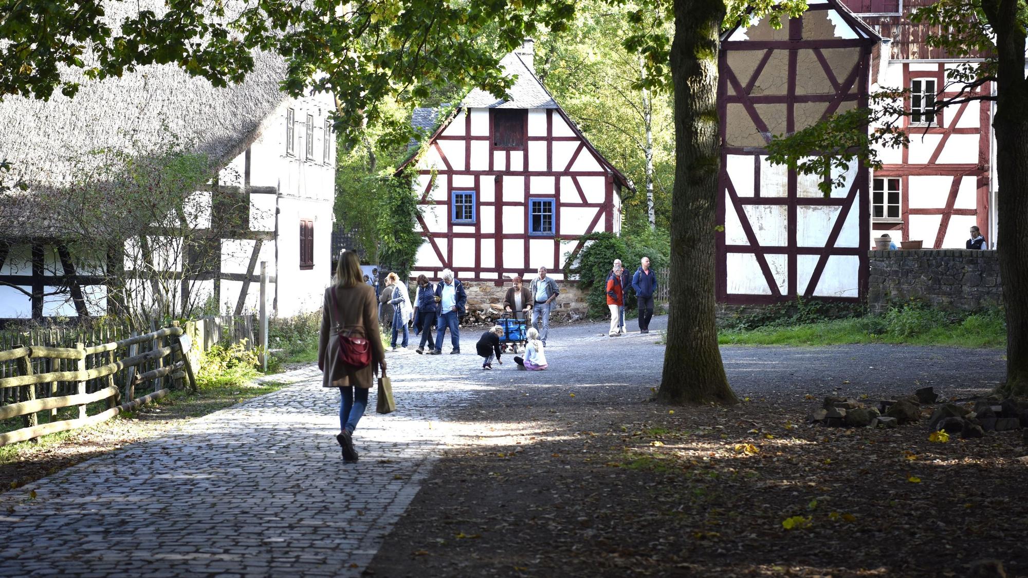 Mehrere Menschen laufen an Fachwerkhäusern im Freilichtmuseum vorbei. Ein hoher Baum rechts im Bild wirft Schatten auf die gepflasterten Wege.