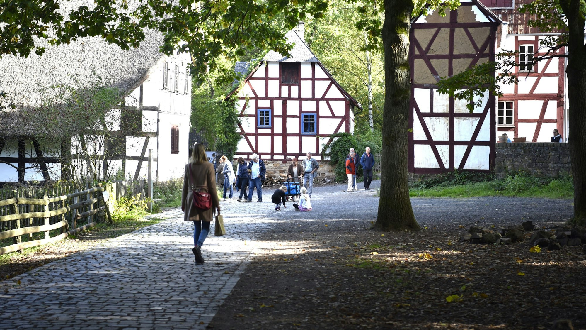 Mehrere Menschen laufen an Fachwerkhäusern im Freilichtmuseum vorbei. Ein hoher Baum rechts im Bild wirft Schatten auf die gepflasterten Wege.