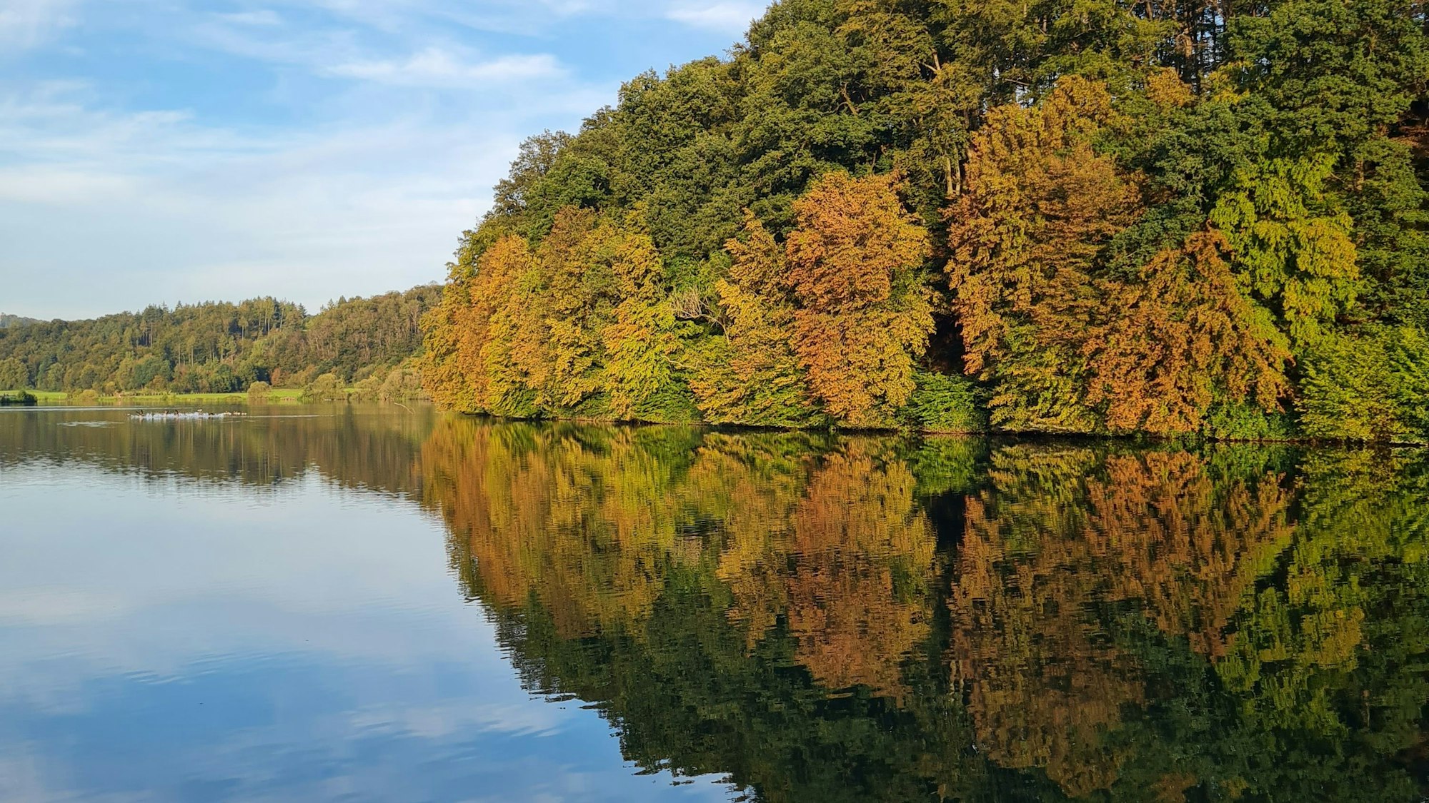 Die glatte Wasserfläche des Stausees Ehreshoven spiegelt den Laubwald.