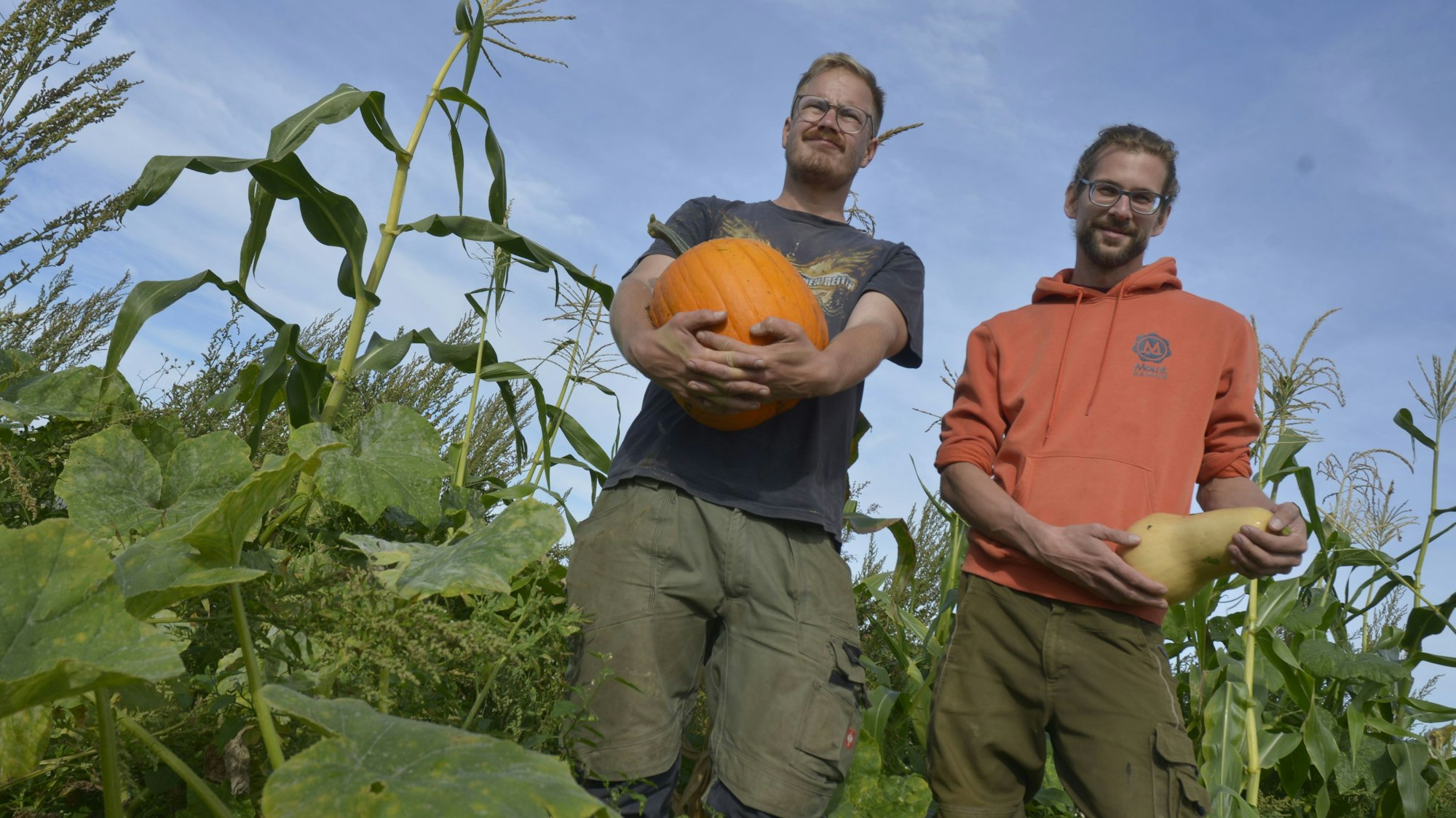 Das Foto zeigt zwei Männer mit Kürbissen in der Hand.