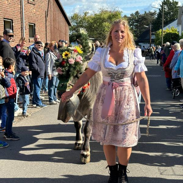 Traditionell sind auch die Oldtimertraktoren beim Almabtrieb in Weiß dabei