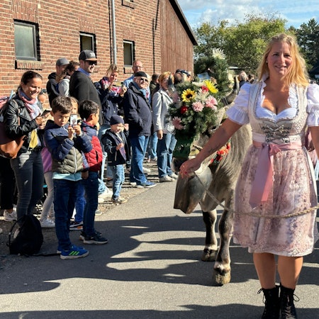 Traditionell sind auch die Oldtimertraktoren beim Almabtrieb in Weiß dabei