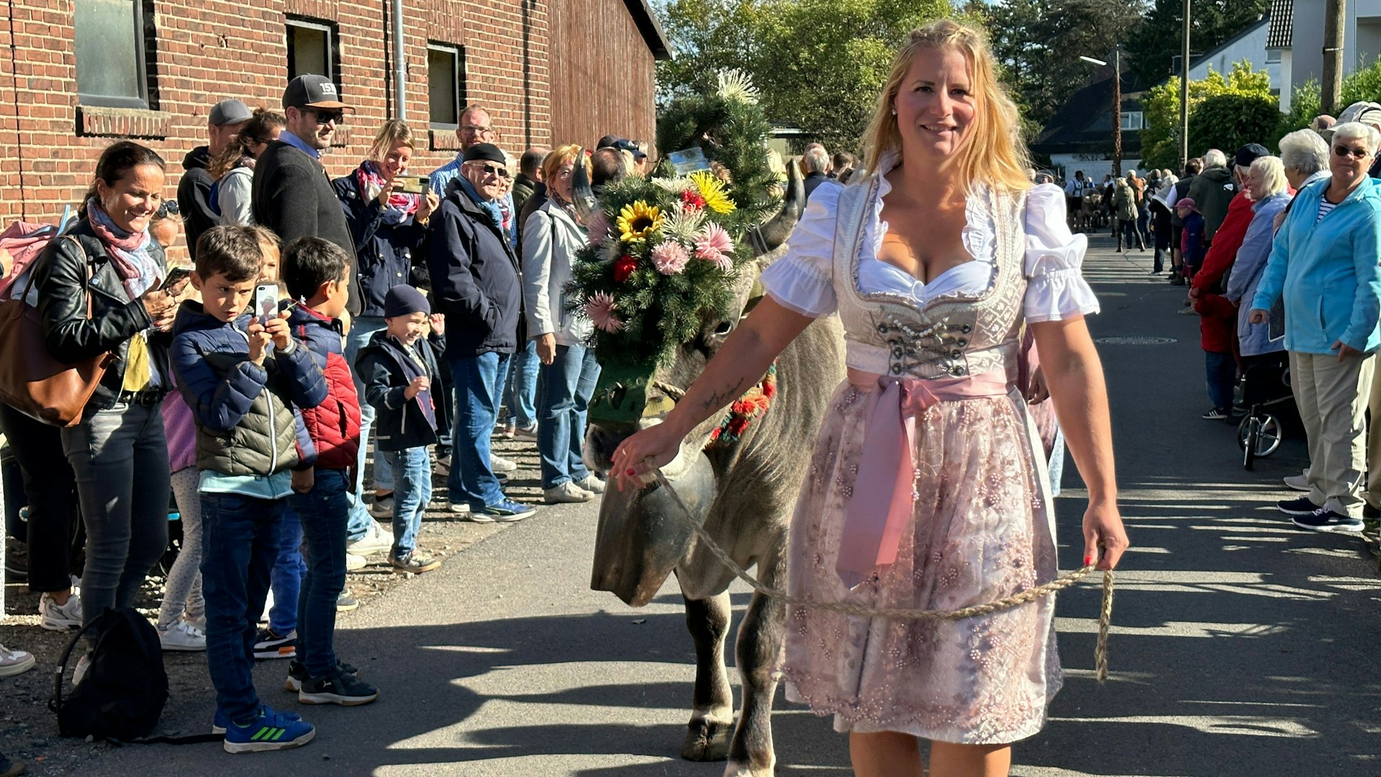 Traditionell sind auch die Oldtimertraktoren beim Almabtrieb in Weiß dabei