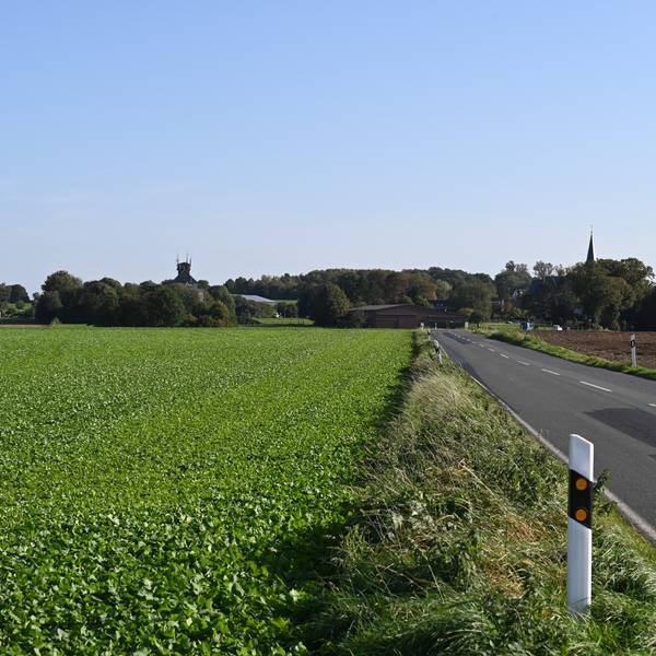 Rechts eine Landstraße, links daneben Ackerfläche.