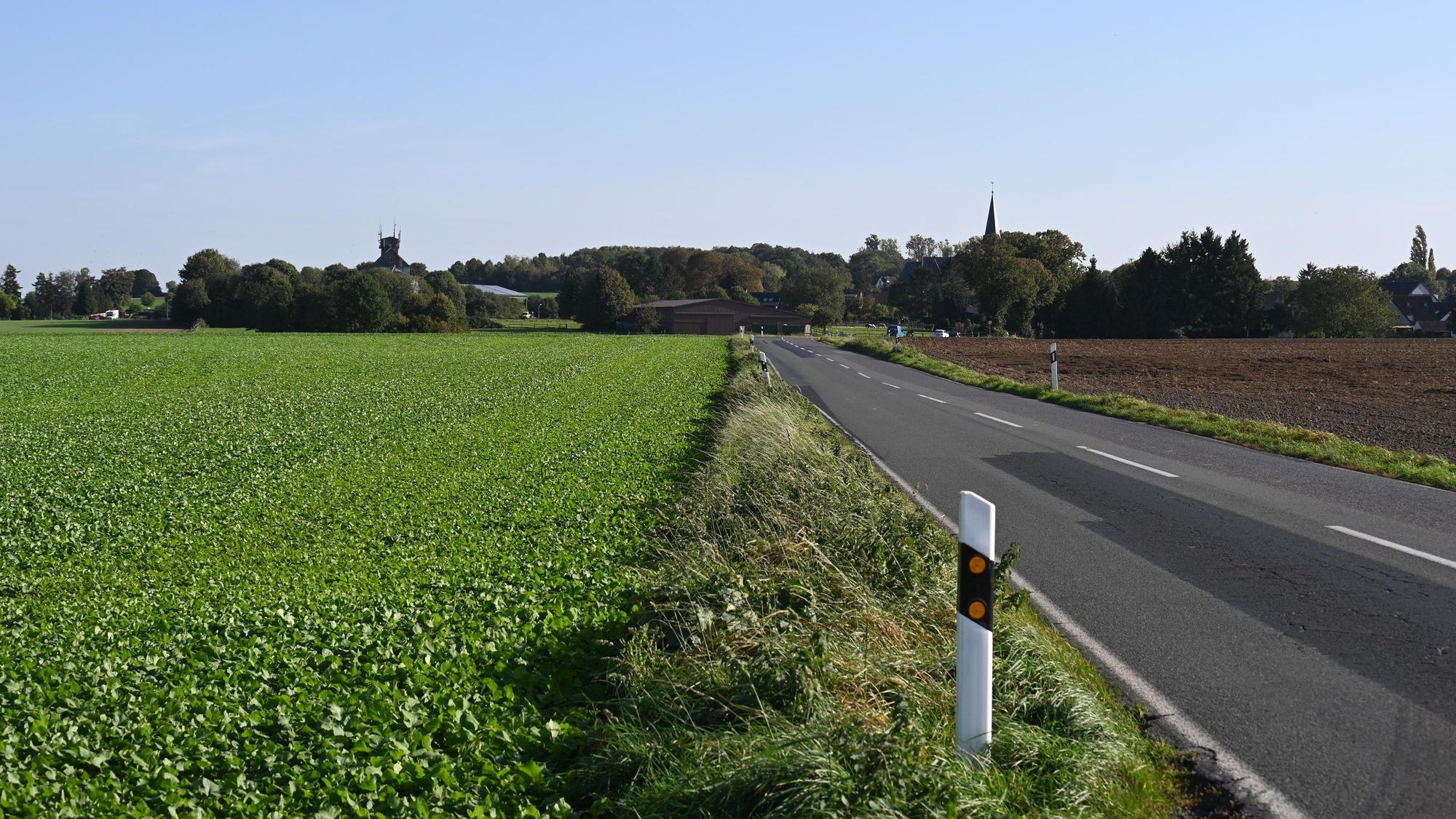 Rechts eine Landstraße, links daneben Ackerfläche.