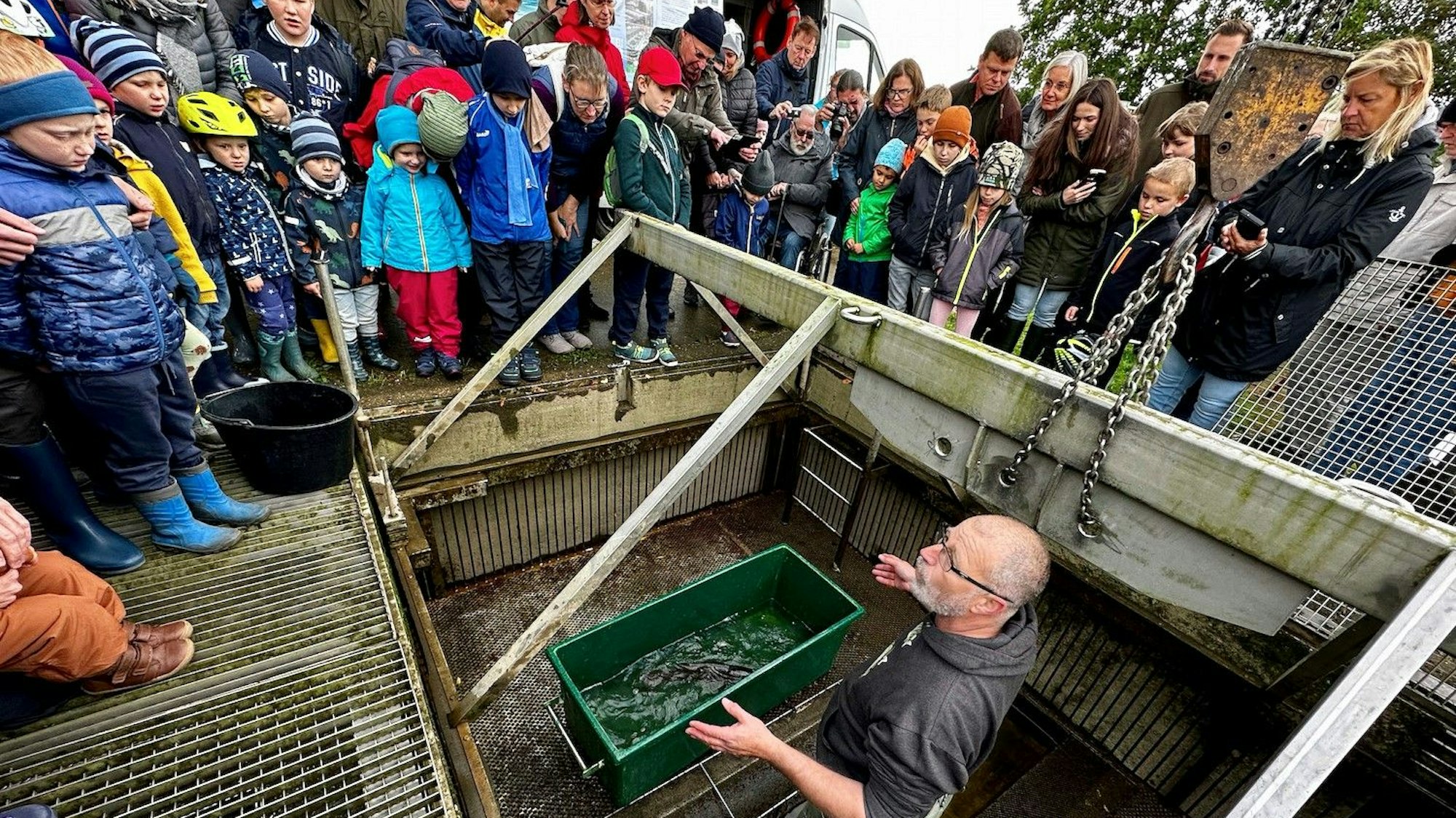 Zuschauer stehen um ein kleines Becken, in dem sich ein Lachs befindet.