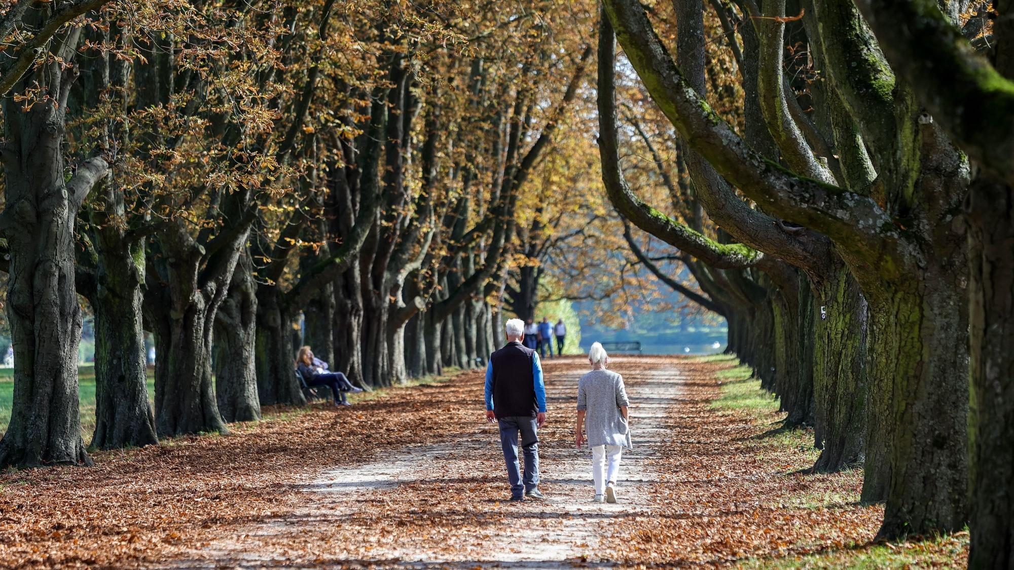 10.10.2023, Köln: Die Kastanienallee am Decksteiner Weiher im Herbstlaub.
Foto: Michael Bause