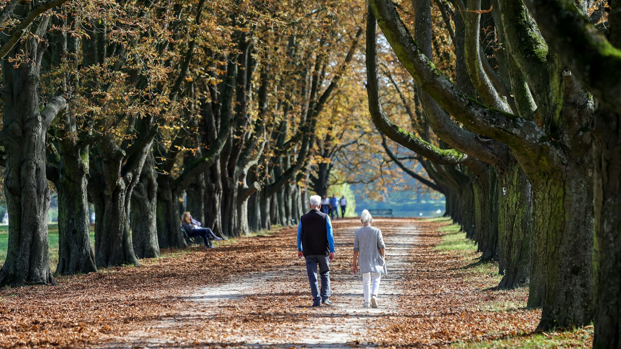 10.10.2023, Köln: Die Kastanienallee am Decksteiner Weiher im Herbstlaub.
Foto: Michael Bause