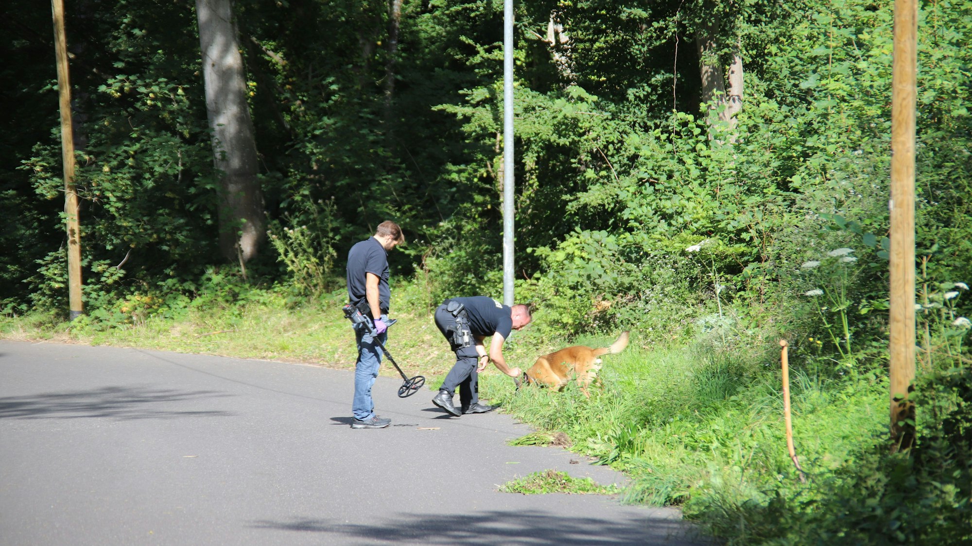 Ermittler an einem Waldstück.