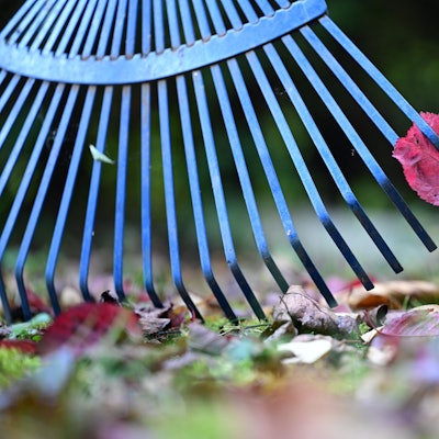 Hunderte Besen, Rechen und Laubbläser kommen im Herbst bei den AWB zum Einsatz (Symbolbild).