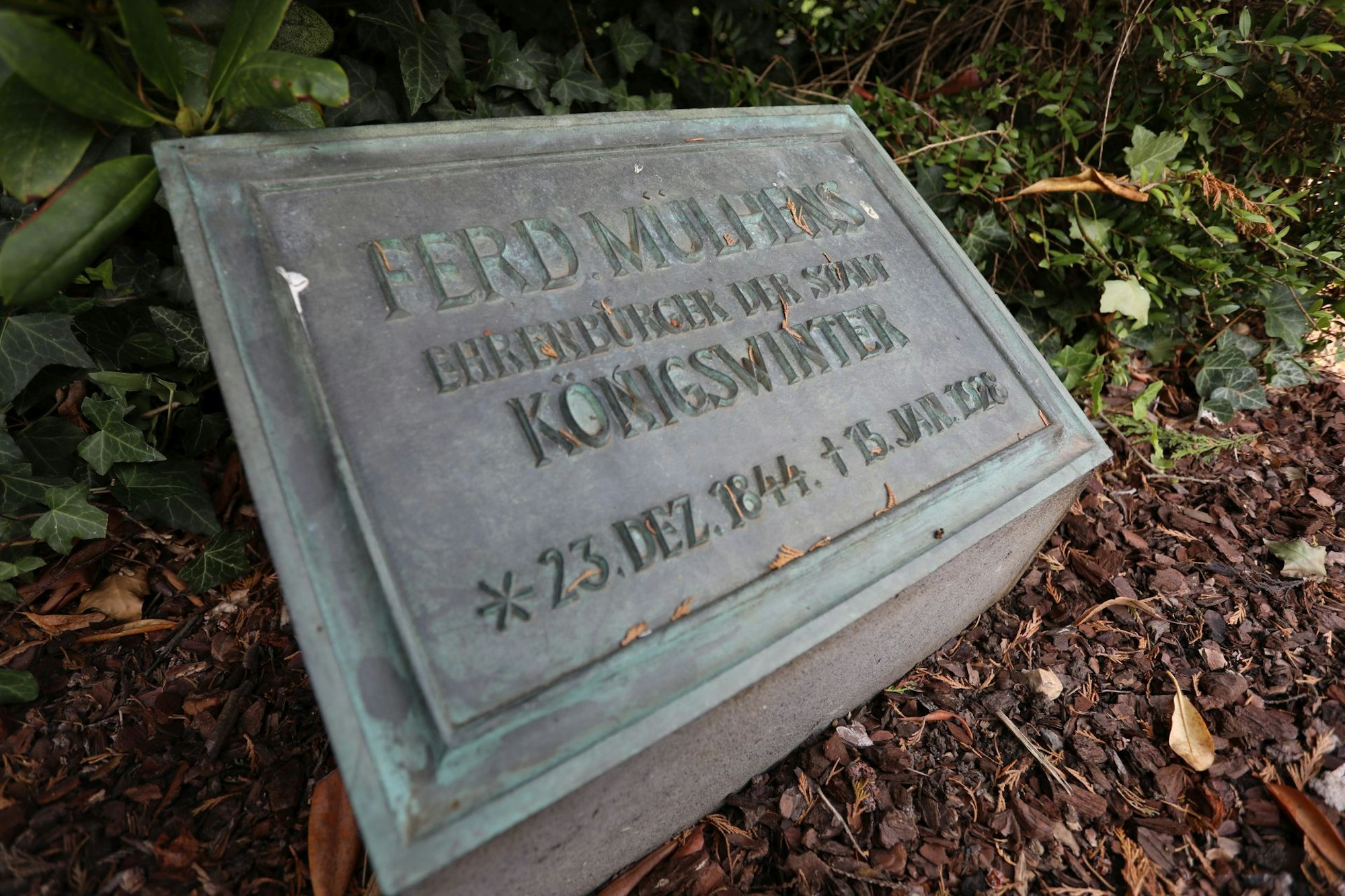 Eine Bronzeplatte auf dem Grab von Ferdinand Mülhens, Ehrenbürger der Stadt Königswinter.