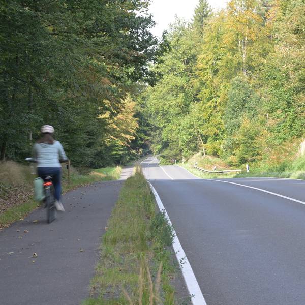 Ein Auto fährt über eine Landstraße, daneben fährt ein Fahrrad auf einem Radweg.
