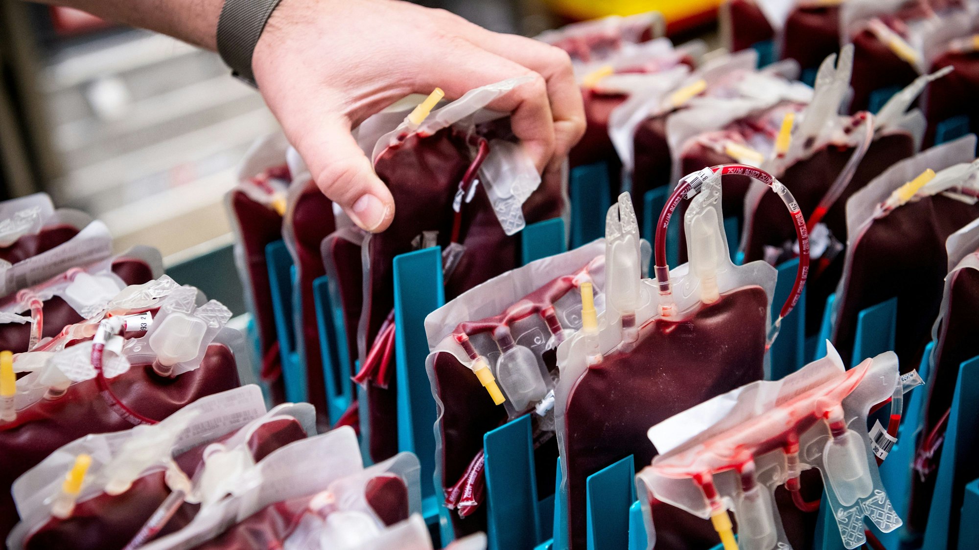 Blutkonserven werden im Kühlraum vom Blutspendedienst des Deutschen Roten Kreuzes (DRK) gelagert.