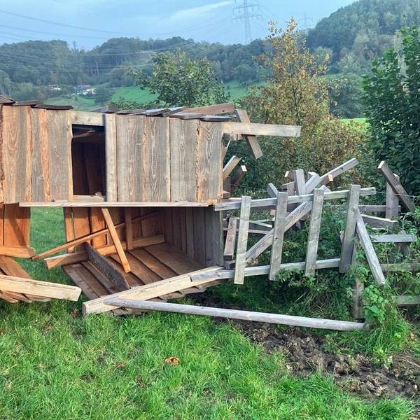 Einer der Hochsitze, die angesägt und umgestoßen wurden, liegt in einem Waldstück auf dem Boden.