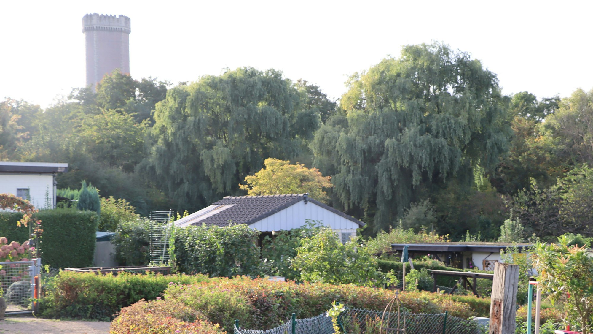 Das Bild zeigt die Kleingartenanlage in Brühl-Eckdorf.