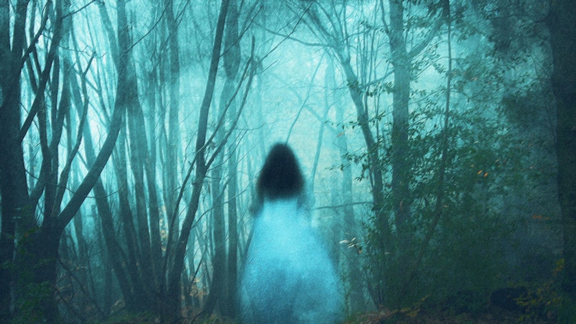 Gruselige Orte: Nur ein wenig Fantasie ist nötig, um Gestalten im Nebelwald entdecken.