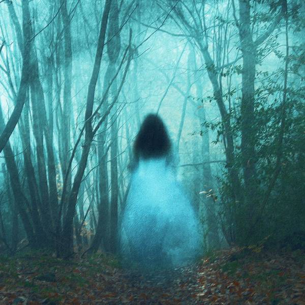Gruselige Orte: Nur ein wenig Fantasie ist nötig, um Gestalten im Nebelwald entdecken.
