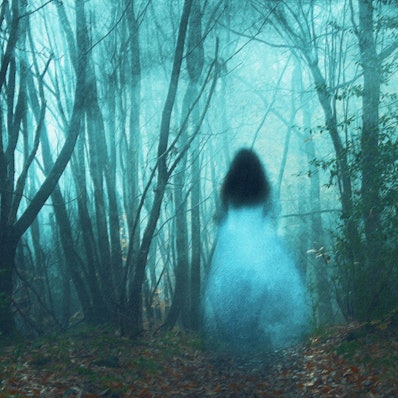 Gruselige Orte: Nur ein wenig Fantasie ist nötig, um Gestalten im Nebelwald entdecken.