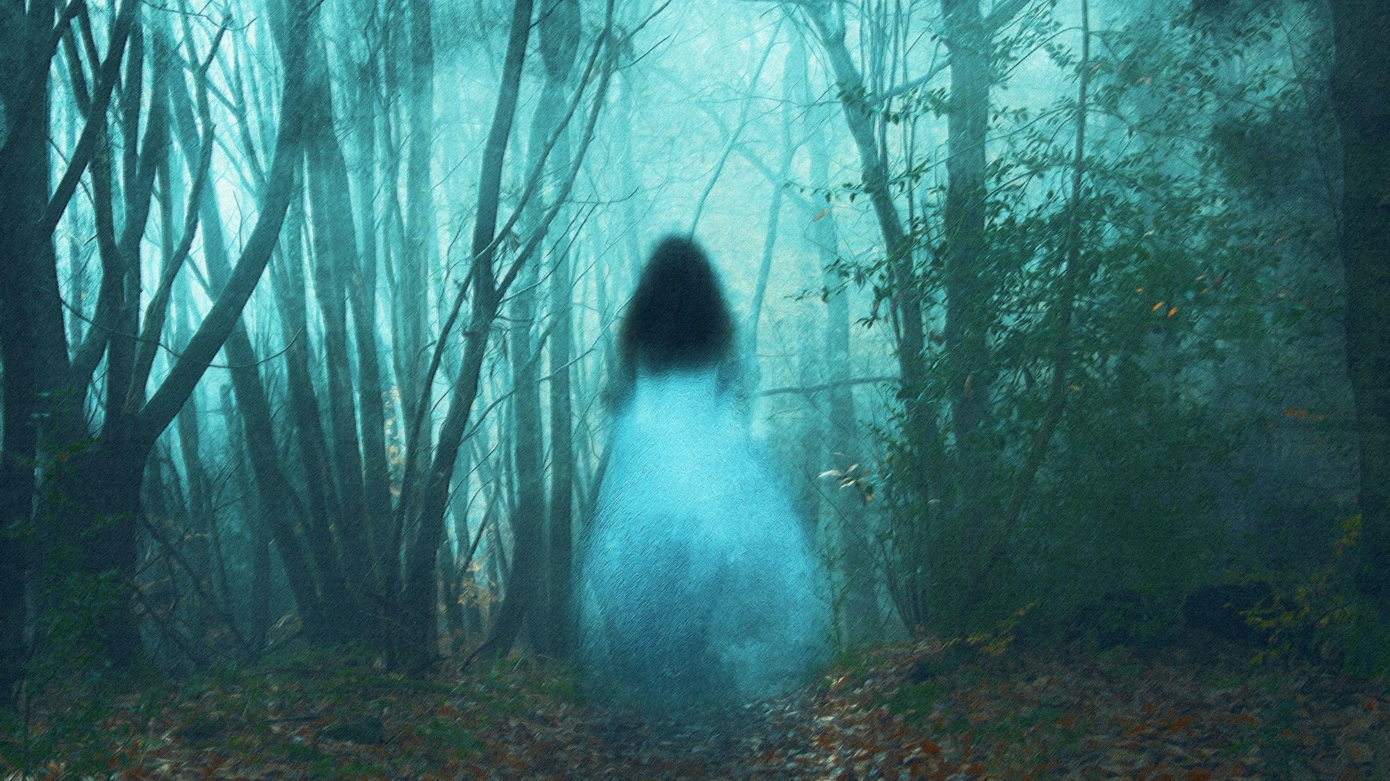 Gruselige Orte: Nur ein wenig Fantasie ist nötig, um Gestalten im Nebelwald entdecken.