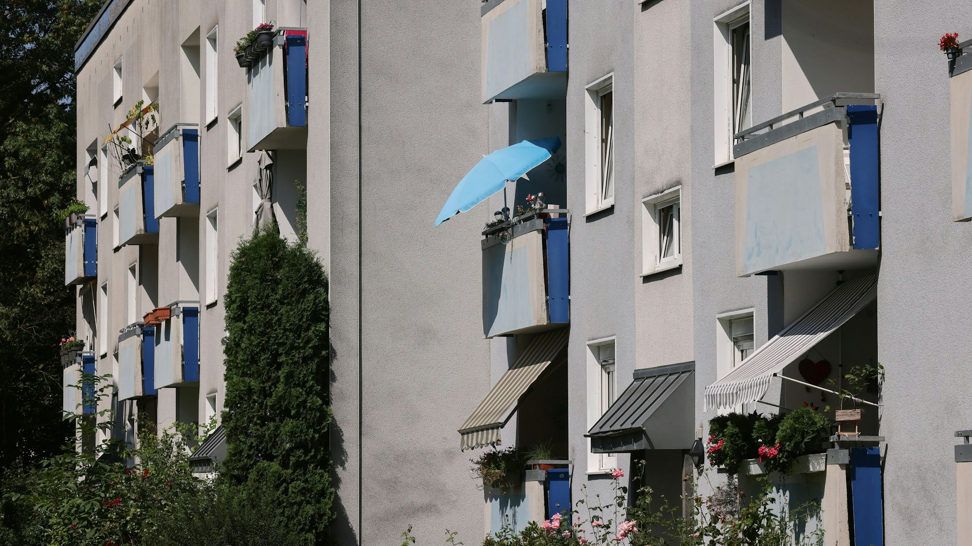 18.08.2023, Köln: Blck auf Häuser der GAG Immobilien AG an der Ricarda-Huch-Straße in Köln Stammheim. Foto: Thilo Schmülgen