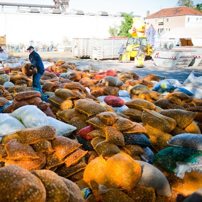 Ein Haribo-Mitarbeitender sortiert zig Säcke voll Kastanien und Eicheln am Haribo-Standort in Grafschaft.
