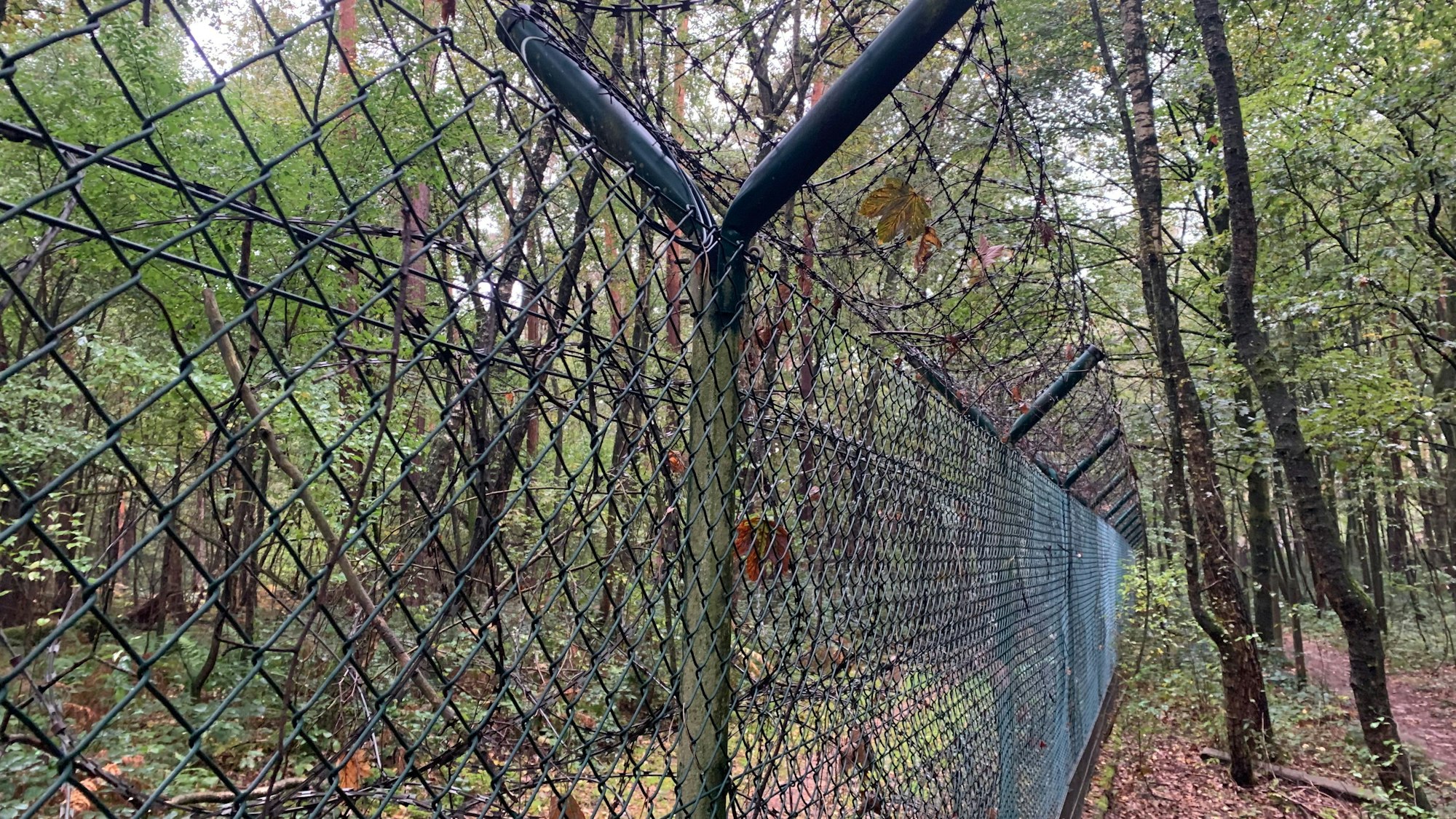Stacheldraht soll verhindern, dass Unbefugte auf das Sprengstoffgelände gelange