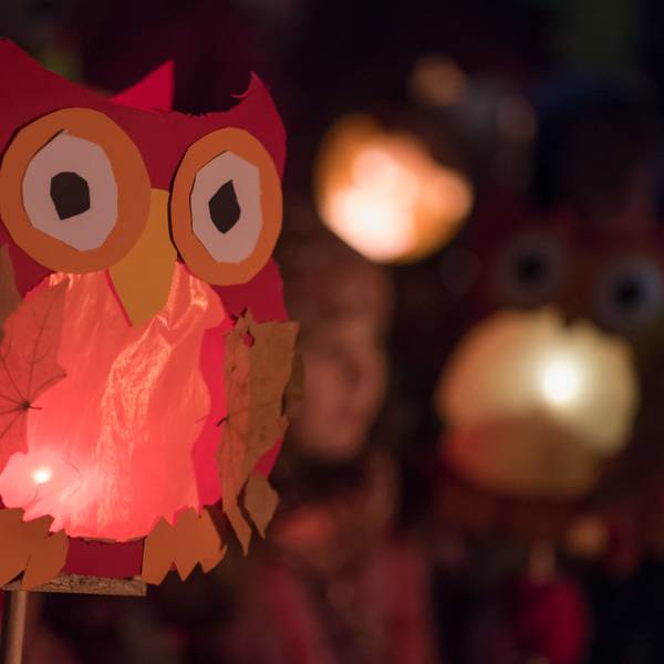 Kinder halten ihren leuchtenden Laternen in die Höhe.