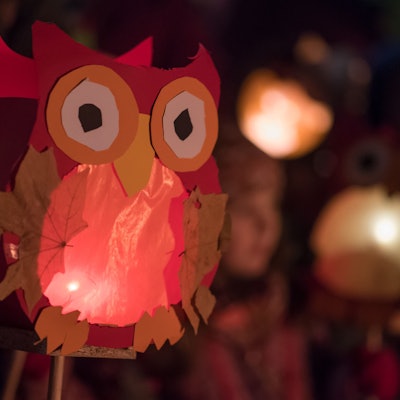 Kindergartenkinder mit Laternen in Form einer Eule