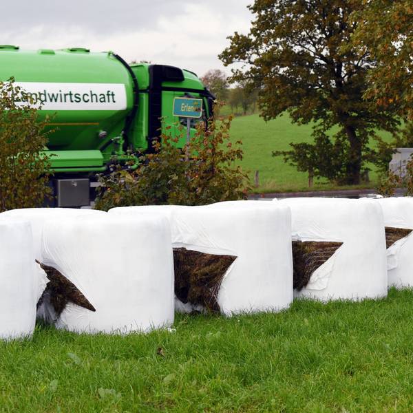 Die aufgeschlitzten Siloballen in Wipperfürth-Erlen.