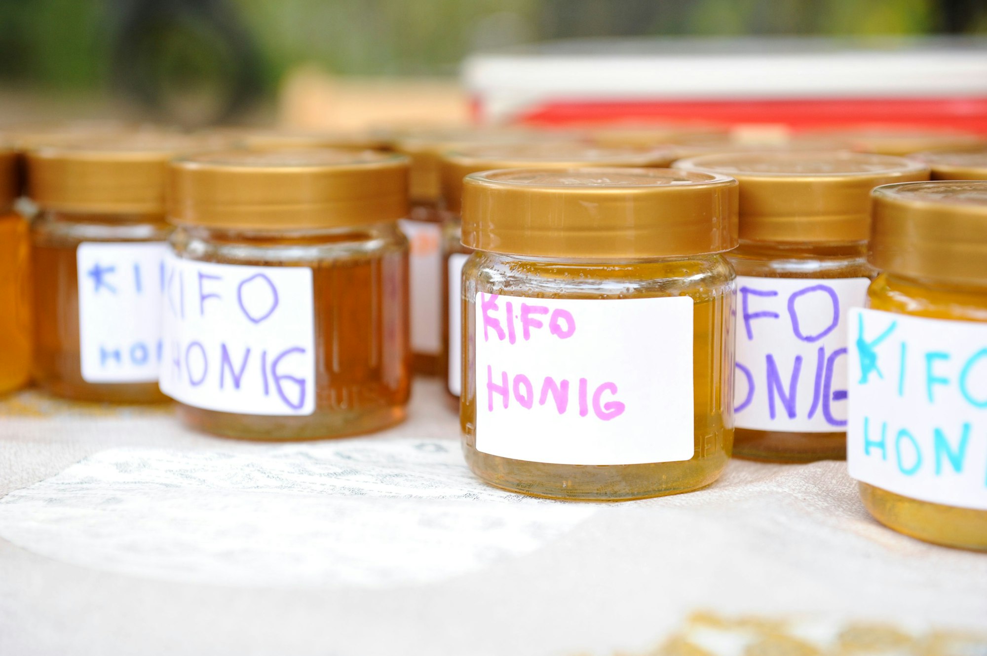 Honig aus der Klimakita