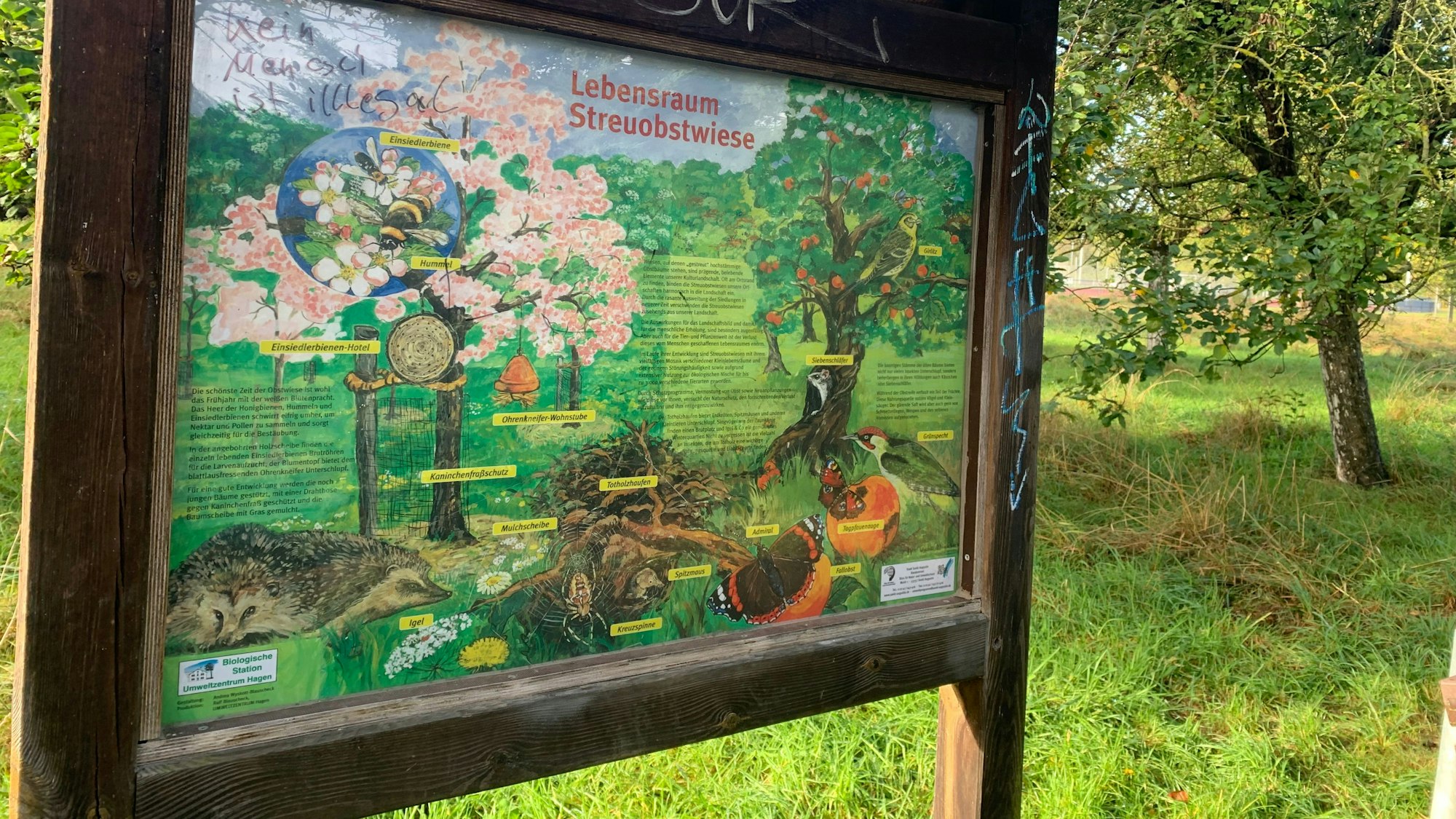 Ein Schild an der Streuobstwiese in Sankt Augustin zeigt, welche Tiere dort leben.