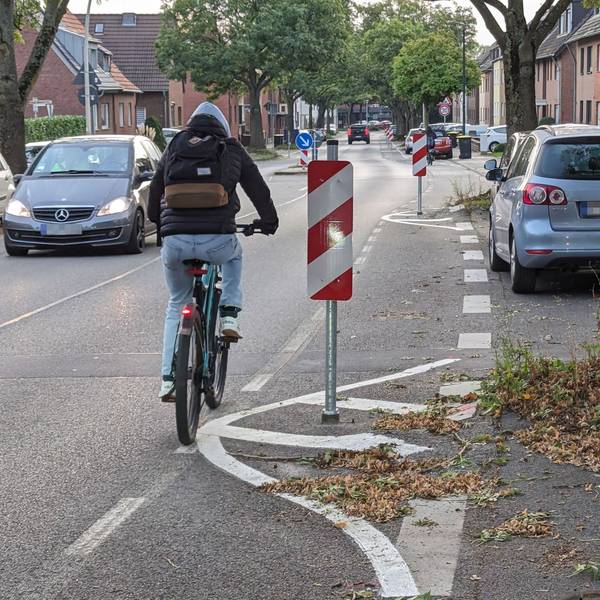 Ein Fahrradfahrer fährt um eine Warnbake herum, die auf aufgebrochenem Asphalt vor einem Baum steht.