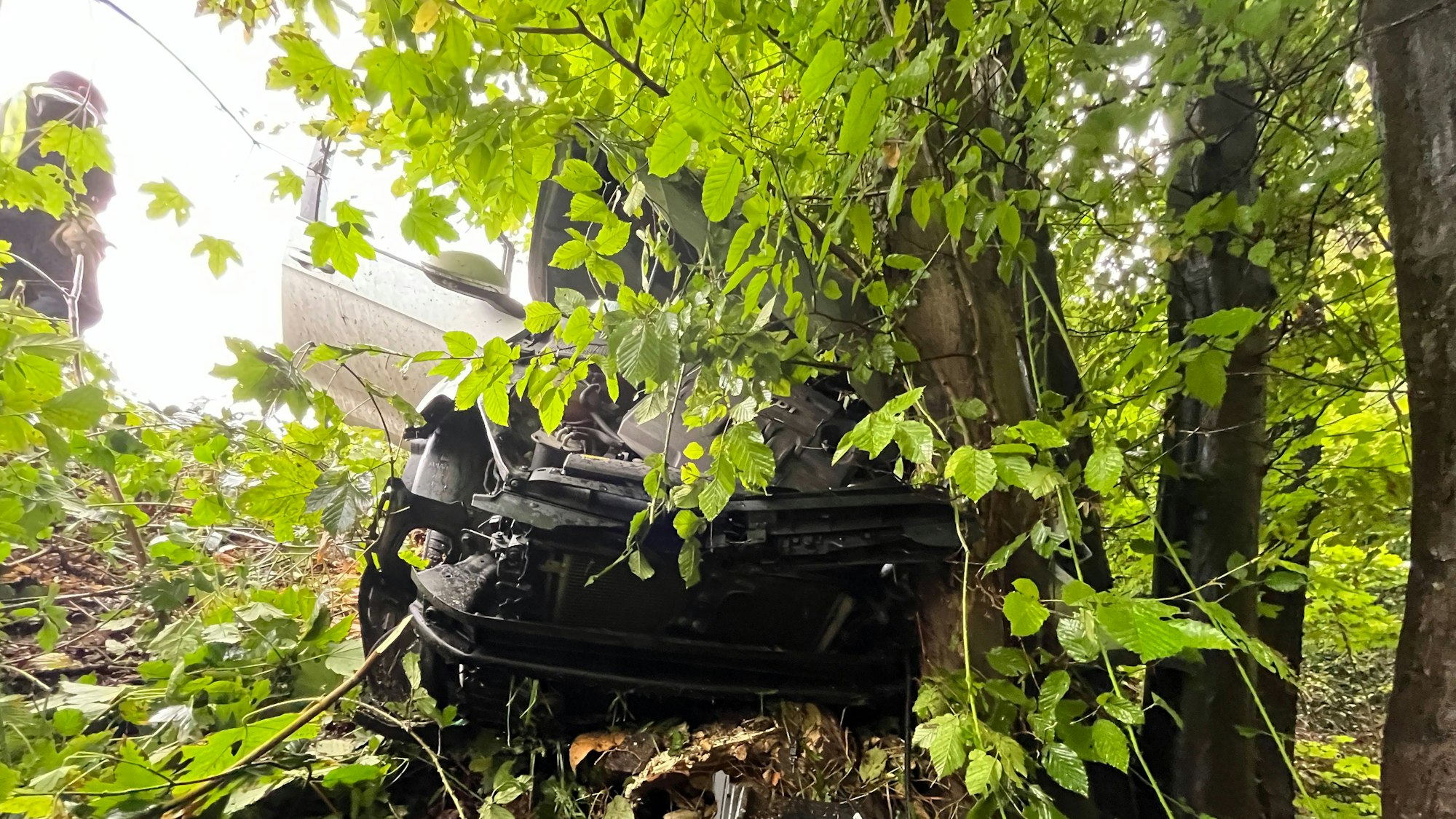 Das Auto stieß in der Böschung gegen einen Baum und blieb stecken.