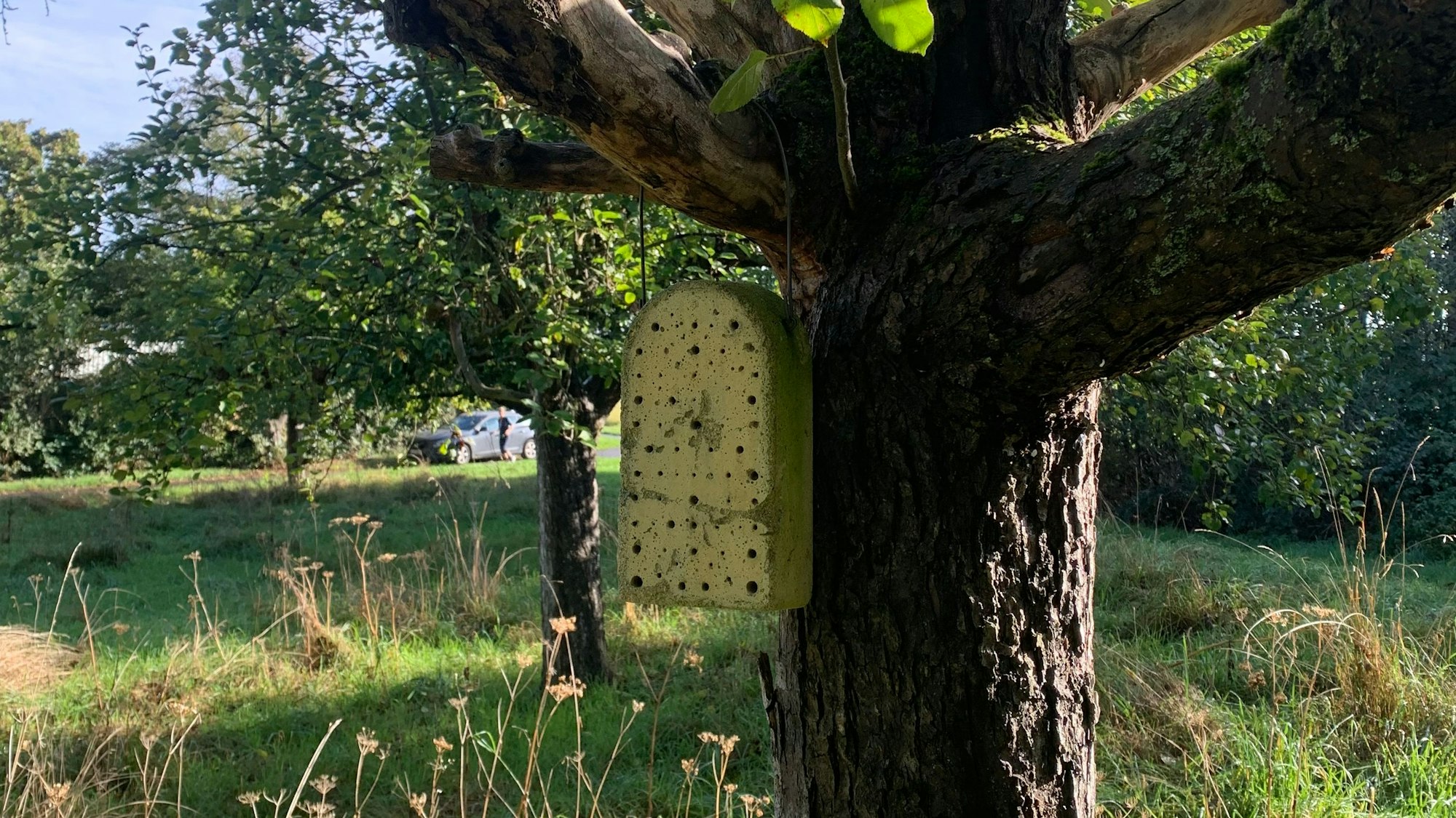 Ein Insektenhotel auf der Streuobstwiese in Sankt Augustin.