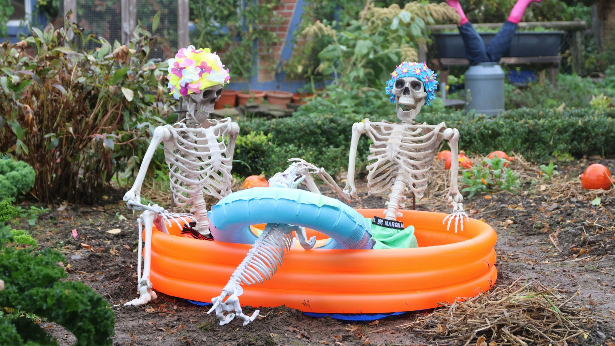 Zwei Skelette sitzen in einem Plantschbecken im Affen- und Vogelpark Eckenhagen.