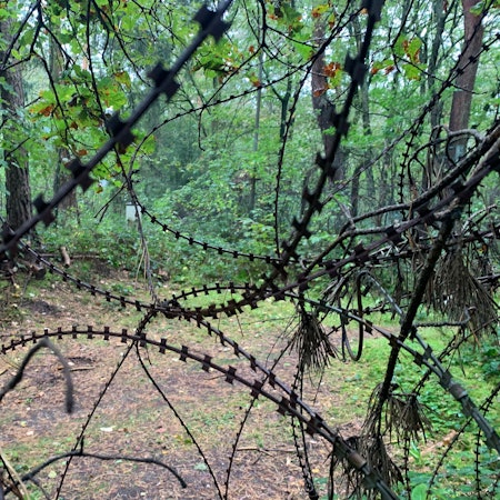 Auf dem Gelände von Dynamit Nobel wird Sprnegstoff produziert