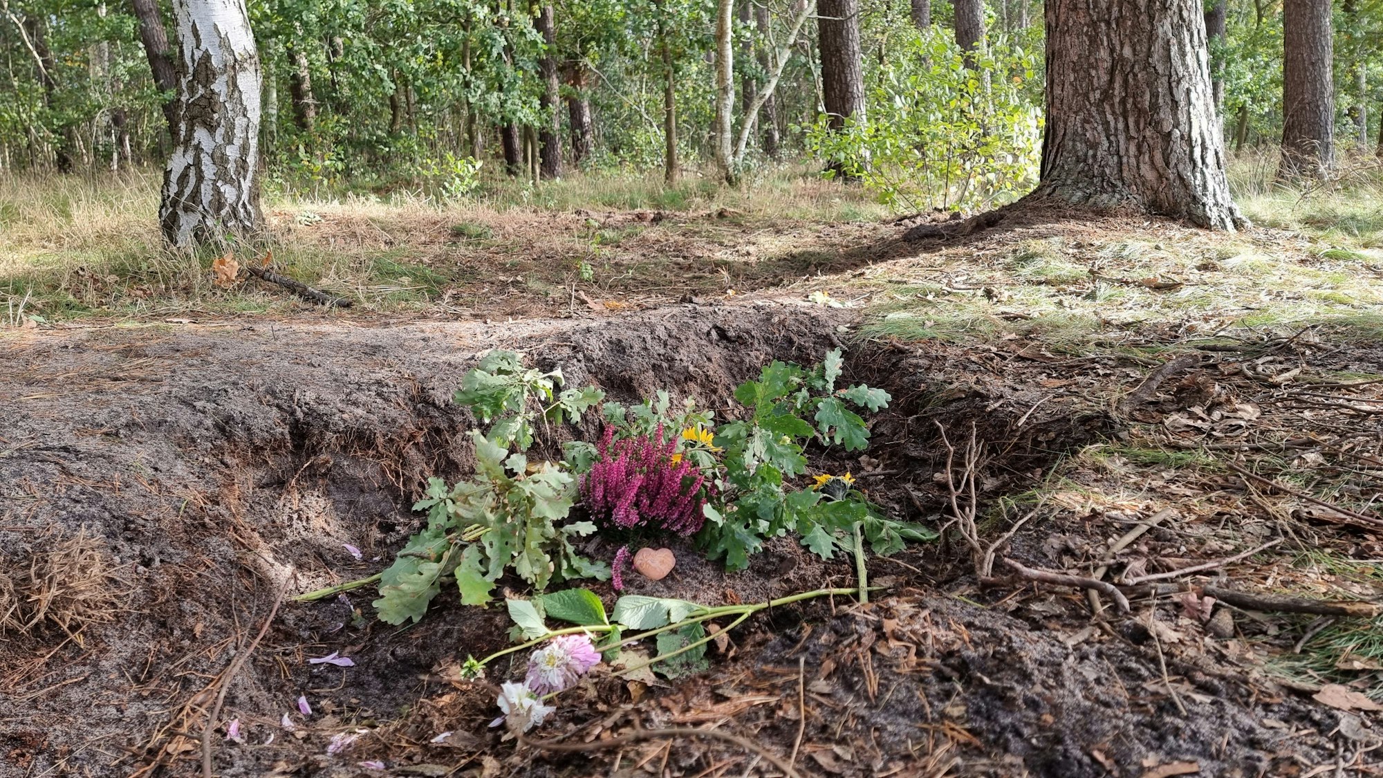 Blumen liegen in einem Wald bei Fuhrberg in der Region Hannover. Bei den von Pilzsammlern gefundenen menschlichen Knochen in einem Wald nahe Burgwedel handelt es sich um den Leichnam der 56 Jahre alten Frau, die im September 2022 in ihrer Laube am Würmsee erstochen wurde. In dem Gerichtsprozess zum Würmsee-Mord hatten zahlreiche Indizien wie Blut- und DNA-Spuren dem Gericht zufolge den 55 Jahre alten Familienvater als Täter überführt.
