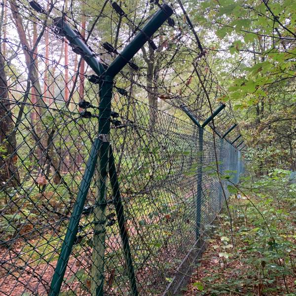 Ein mehrfach gesicherter Zaun trennt im Wald ein Grundstück ab.