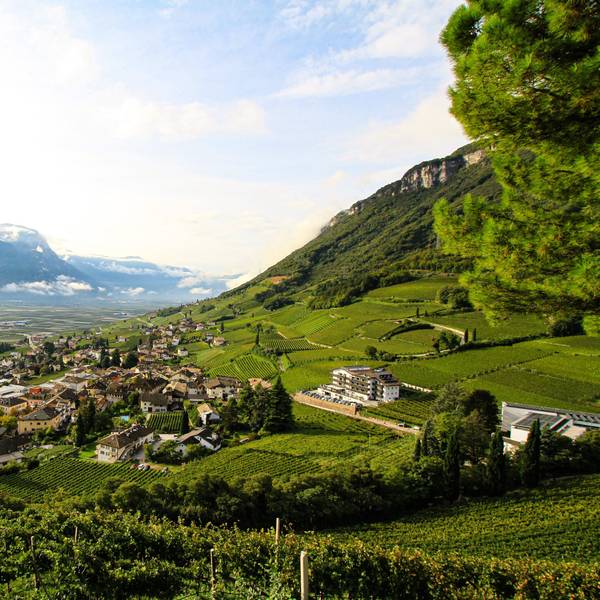 Italien, Etschtal: Ein Weingut mit Blick ins Etschtal. Die autonome Provinz Südtirol, wo Deutsch neben Italienisch normale Amtssprache ist, wählt am Sonntag (22.10.2023) ein neues Parlament.
