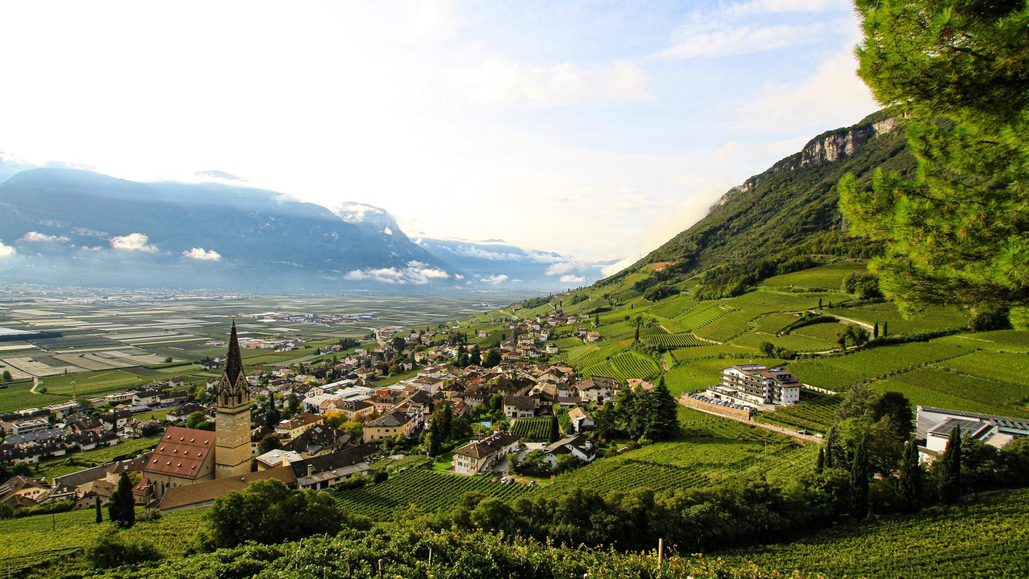 Italien, Etschtal: Ein Weingut mit Blick ins Etschtal. Die autonome Provinz Südtirol, wo Deutsch neben Italienisch normale Amtssprache ist, wählt am Sonntag (22.10.2023) ein neues Parlament.