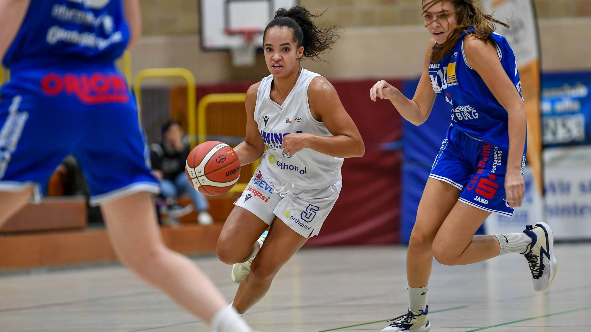 1. Damen Basketball Bundesliga: Orthomol WINGS Leverkusen vs. BC Pharmaserv Marburg, 08.10.2023 Tea Adams Orthomol WINGS Leverkusen 5, 1. Damen Basketball Bundesliga: Orthomol WINGS Leverkusen vs. BC Pharmaserv Marburg am 08.10.2023 in der Sporthalle Werner-Heisenberg-Gymnasium in Opladen Nordrhein-Westfalen *** 1 Womens Basketball Bundesliga Orthomol WINGS Leverkusen vs BC Pharmaserv Marburg, 08 10 2023 Tea Adams Orthomol WINGS Leverkusen 5 , 1 Womens Basketball Bundesliga Orthomol WINGS Leverkusen vs BC Pharmaserv Marburg on 08 10 2023 in the Werner Heisenberg Gymnasium sports hall in Opladen North Rhine Westphalia. Copyright: xBEAUTIFULxSPORTS/Mueller-Laschetx